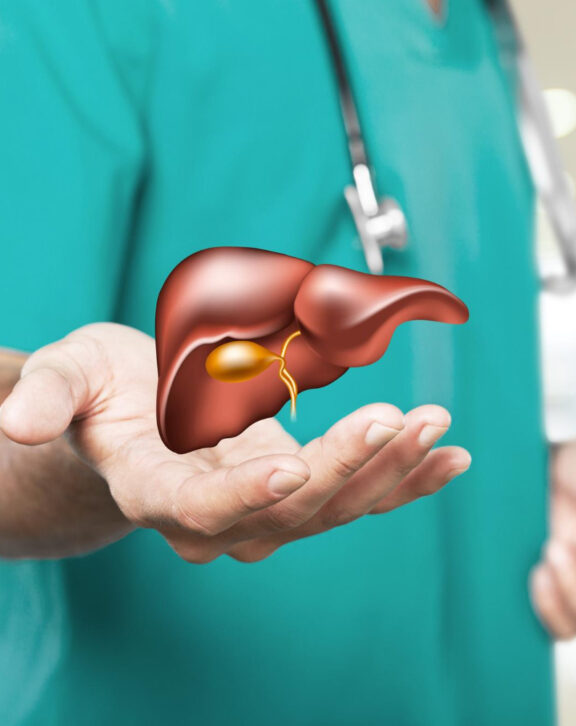 Shop - Sub Collection